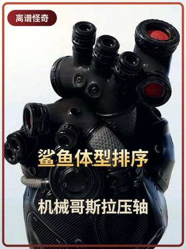 鲨鱼体型排序，机械哥斯拉压轴 #科普 #涨知识 #丁一知 #离谱怪奇档案