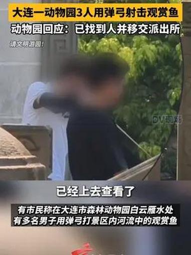 动物园回应3人用弹弓射击观赏鱼:已找到人并移交派出所