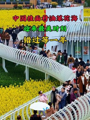 中江挂面村万亩油菜花海迎来最美时刻,赶快来打卡 万亩油菜花织就田园画卷 一键进入春日油菜花