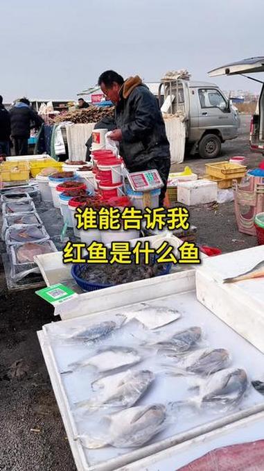 红鱼是什么鱼,好吃吗#百姓生活 #人间烟火 #赶大集