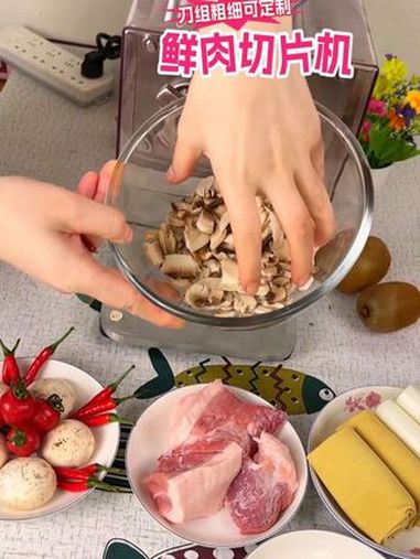 切肉片机 鲜肉切片机 切片机 肉类加工设备 切肉机