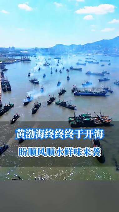 黄渤海终终终于开海啦!市民:刀鱼、鲅鱼、扒皮狼什么新鲜海鲜都要吃!