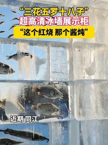 近期同江，“三花五罗十八子”，超高清冰墙展示柜，“这个红烧，那个酱炖”！