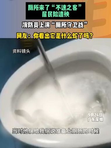 9月24日,广东深圳,厕所来了“不速之客”,居民险遭殃,消防员上演“厕所守卫战”,消防:经