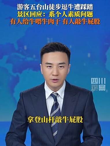 游客五台山徒步逗牛遭踩踏 7月17日,五台山管委会工作人员回应:有游客给牛喂牛肉干,有人用