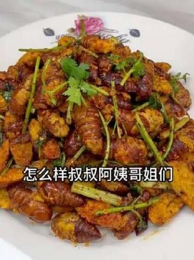 蚕蛹新吃法教程