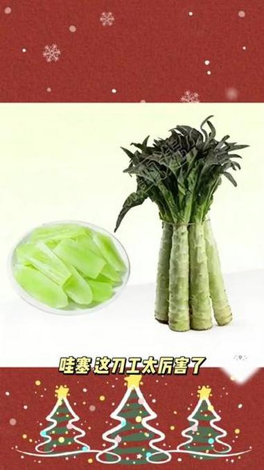 云南露天种植老品种紫叶绿肉莴笋新鲜采摘现采现发火锅搭配