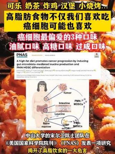 可乐 奶茶 炸鸡 汉堡 小烧烤……高脂肪食物不仅我们喜欢吃,癌细胞可能也喜欢(制作:小志)
