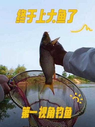 终于上大鱼了,你是有多久没钓上大鱼了,以前都是几两的小鱼,野钓没有技巧,只有天天搞。#出来