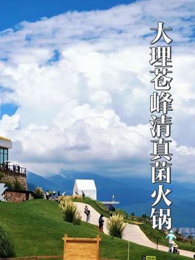 人均几十 在大理就可以搓一顿美味的菌汤火锅,性价比是妥妥的高 大理美食 菌汤火锅 菌子火锅