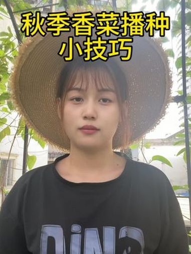秋季香菜播种小技巧 记录真实生活 分享农业知识帮农民增产增收 新农人