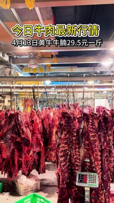 牛肉价格 4月13号成都黄牛牛腩29.5一斤。老板表态:清真屠宰黄牛肉,保证质量!假一赔十