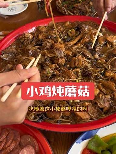 小鸡炖蘑菇 乡村味道 记录真实生活 三农 东北