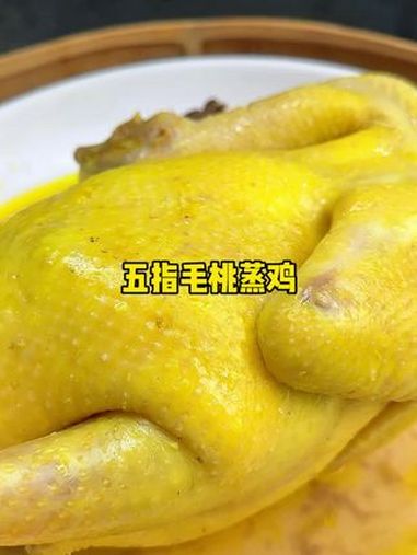 今天去挖五指毛桃来蒸鸡吃,刚好老同来一起搞公文包绝配了。五指毛桃 记录真实生活 农村生活 