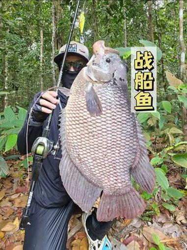 战船鱼 #路亚 #钓鱼