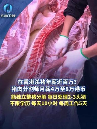 在香港杀猪年薪百万?猪肉分割师月薪4万至8万港币,能独立整猪分解,每日处理2-3头猪。不限