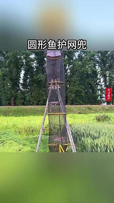 鱼护 渔具 钓鱼装备 户外用品 户外钓鱼 圆形鱼护尼龙3米鱼护网兜耐磨结实便携装不锈钢双圈