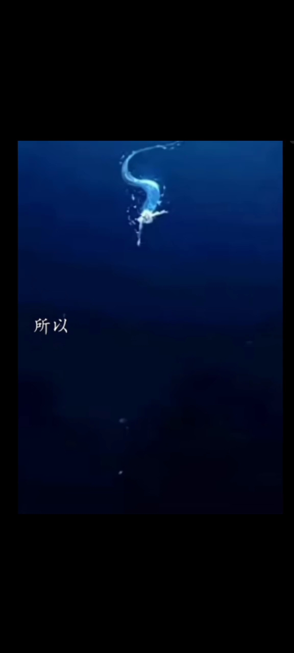 所以人鱼陷落的遗憾是什么