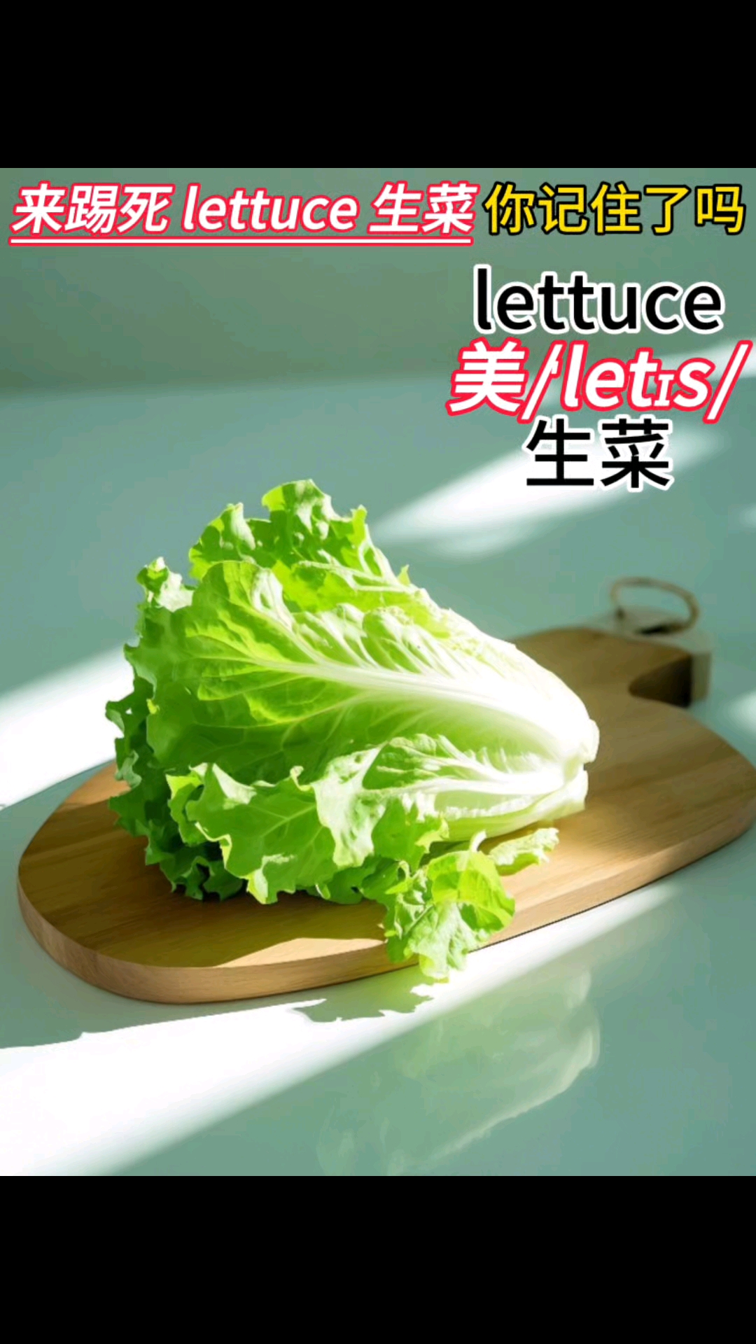 生菜的英文单词