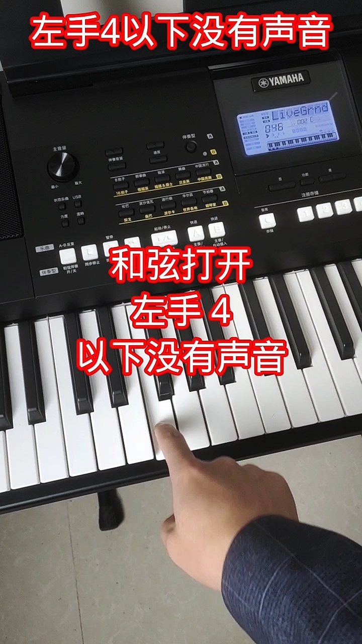 Kb309电子琴和弦伴奏打开 键盘左边低音区4以下没有声音