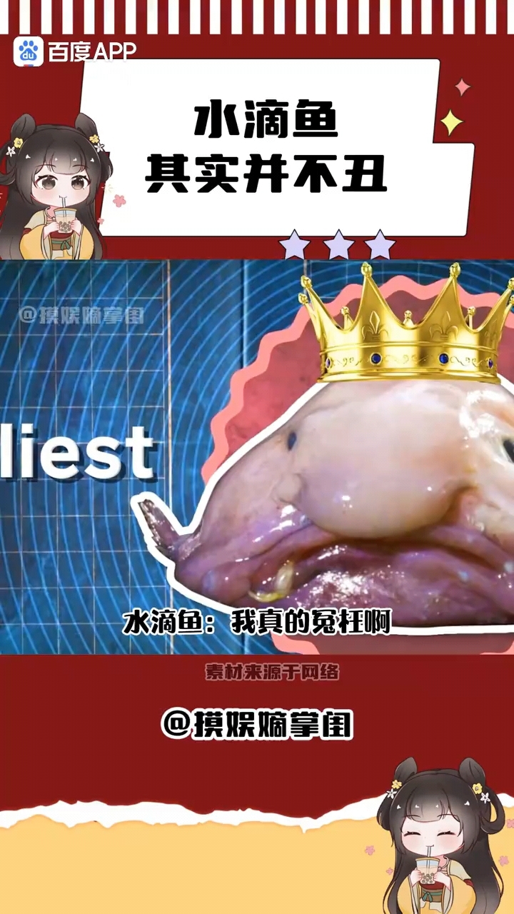 水滴鱼:为我花生!