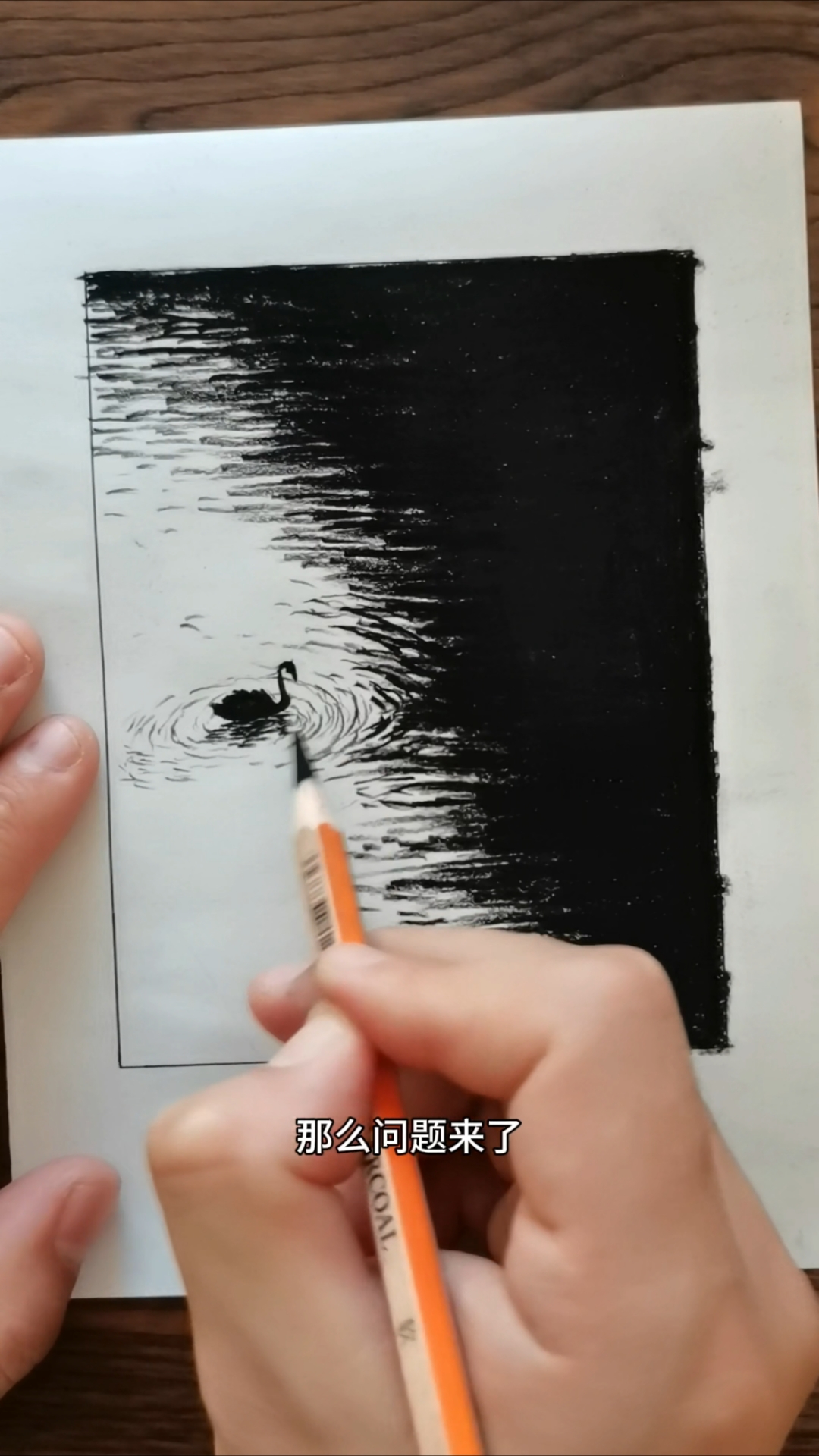 铅笔画黑白天鹅,你学会了嘛