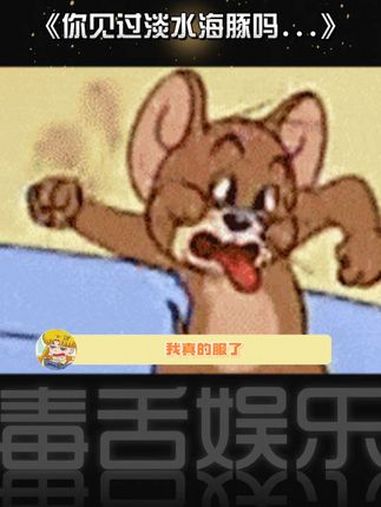 这么稀奇的“淡水海豚”,不能只有我一个人看到 艾特你想艾特的人 炸裂 娱乐评论大赏