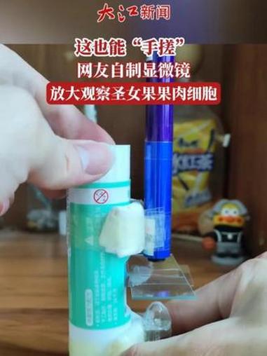 这也能“手搓”?网友自制显微镜,放大观察圣女果果肉细胞