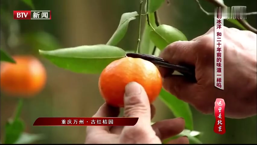 [图]北冰洋汽水是怎么制成的