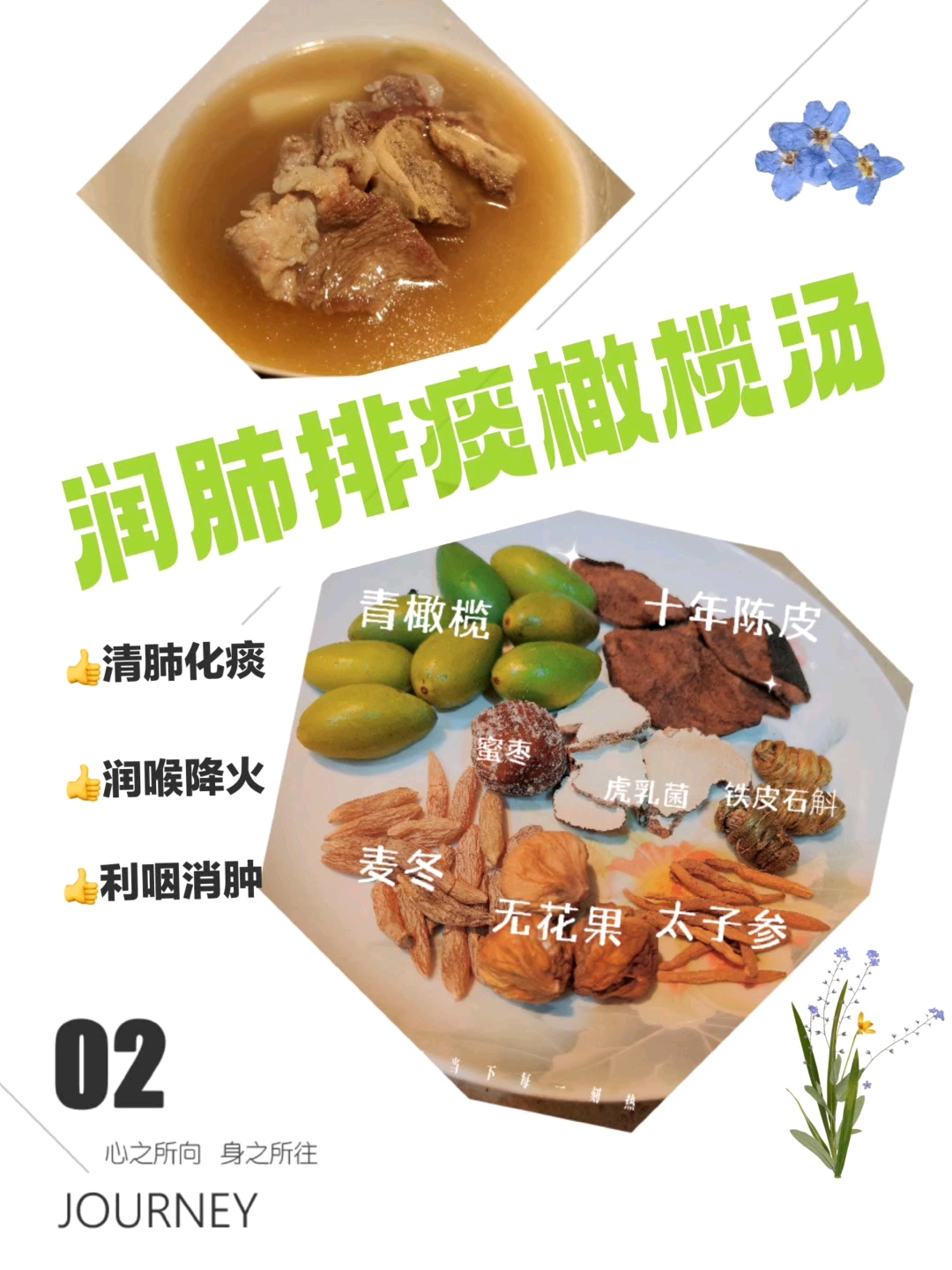 美味润肺排痰橄榄汤