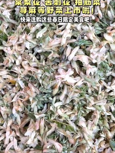 蕨菜、荨麻、苦刺花、棠梨花等今春野菜上市啦!快来选购您心仪的春日限定美食吧!有一种叫云南的