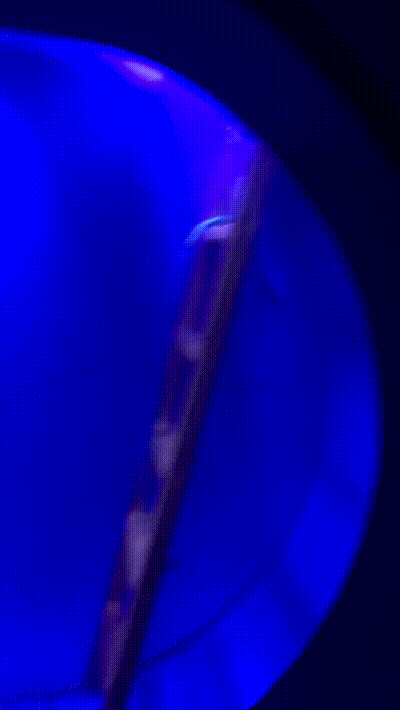 真香福利第811期 单身久了看条狗都眉清目秀