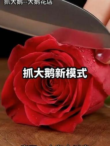 抓大鹅出的新模式太有趣了 #抖音小游戏 #抓大鹅 #大鹅花店 #休闲解压小游戏 #治愈系小