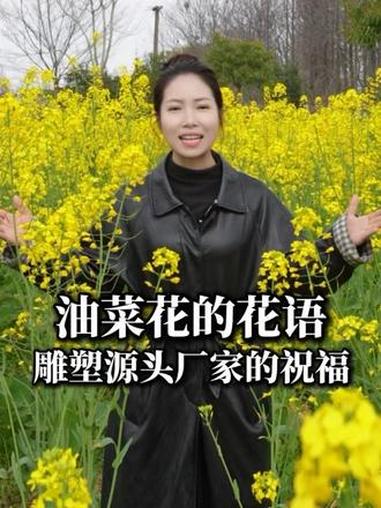 油菜花的花语 油菜花 有财发#油菜花 #油菜花的季节 #油菜花打卡 #祝福 #上热门