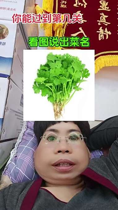 看图说青菜