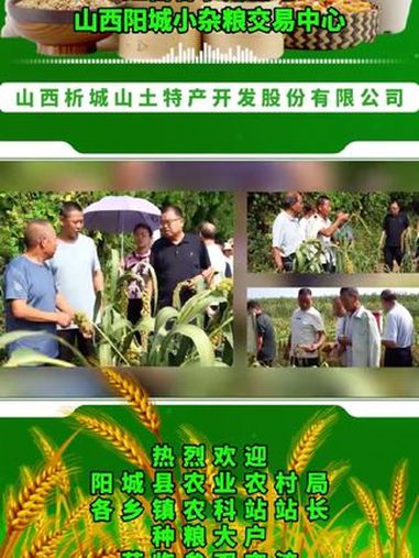 2024年8月30日,阳城县农业农村局领导,各乡镇农科站站长及种粮大户,莅临山西析城山土特