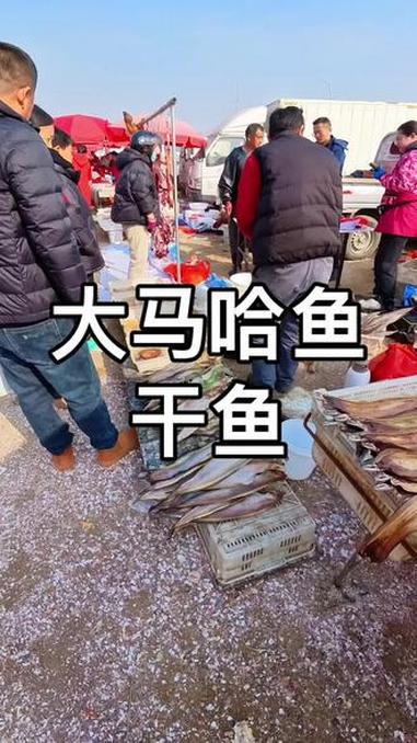 大马哈鱼干鱼这个时候很受欢迎！#海鲜#鱼干#赶集#沿海
