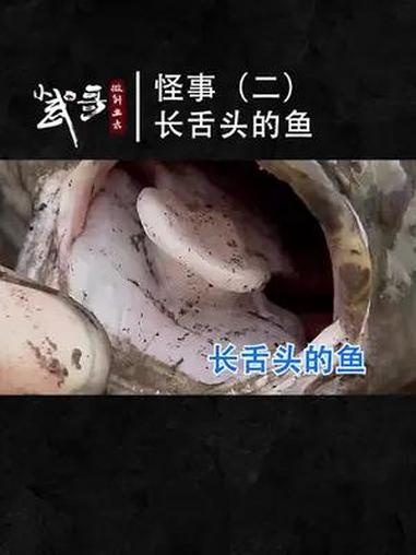 一条鱼长这么大的舌头 你见过吗