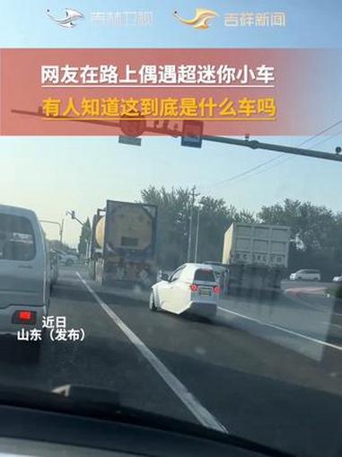 网友:这难道是和“剁椒鱼头”对标的“香酥鱼尾”吗?迷你小车 糊涂了 搞笑