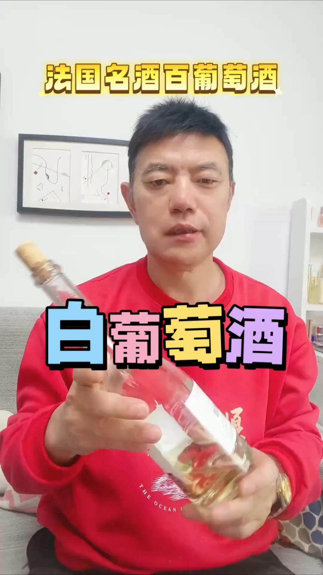 法国进口原装歪脖子白葡萄酒