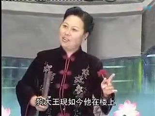 [图]河南坠子「徐延忠搬兵」63