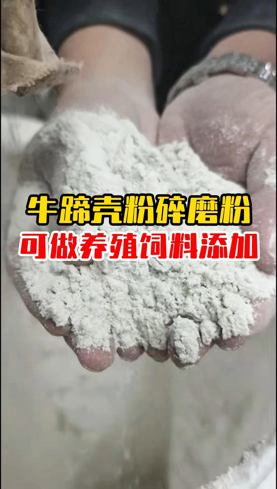 牛蹄壳粉碎磨成粉 价值翻倍