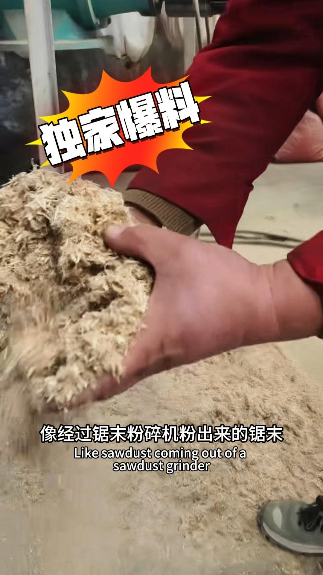 揭秘木粉是如何加工的#木粉机#超细磨粉机