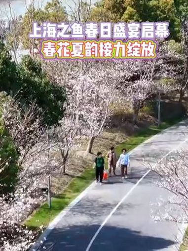 上海之鱼正式进入年度 赏花季!上海奉贤
