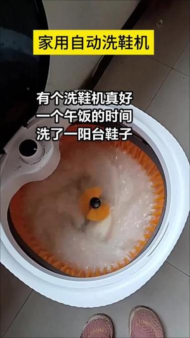 威涤(全壁刷)自动洗鞋机家用懒人神器专用刷鞋器洗脱一体洗衣鞋机 全自动洗鞋机 洗鞋机 洗鞋