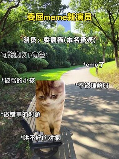 委屈meme新上线 猫meme 反转 邪恶之笑 猫猫 萌宠出道计划