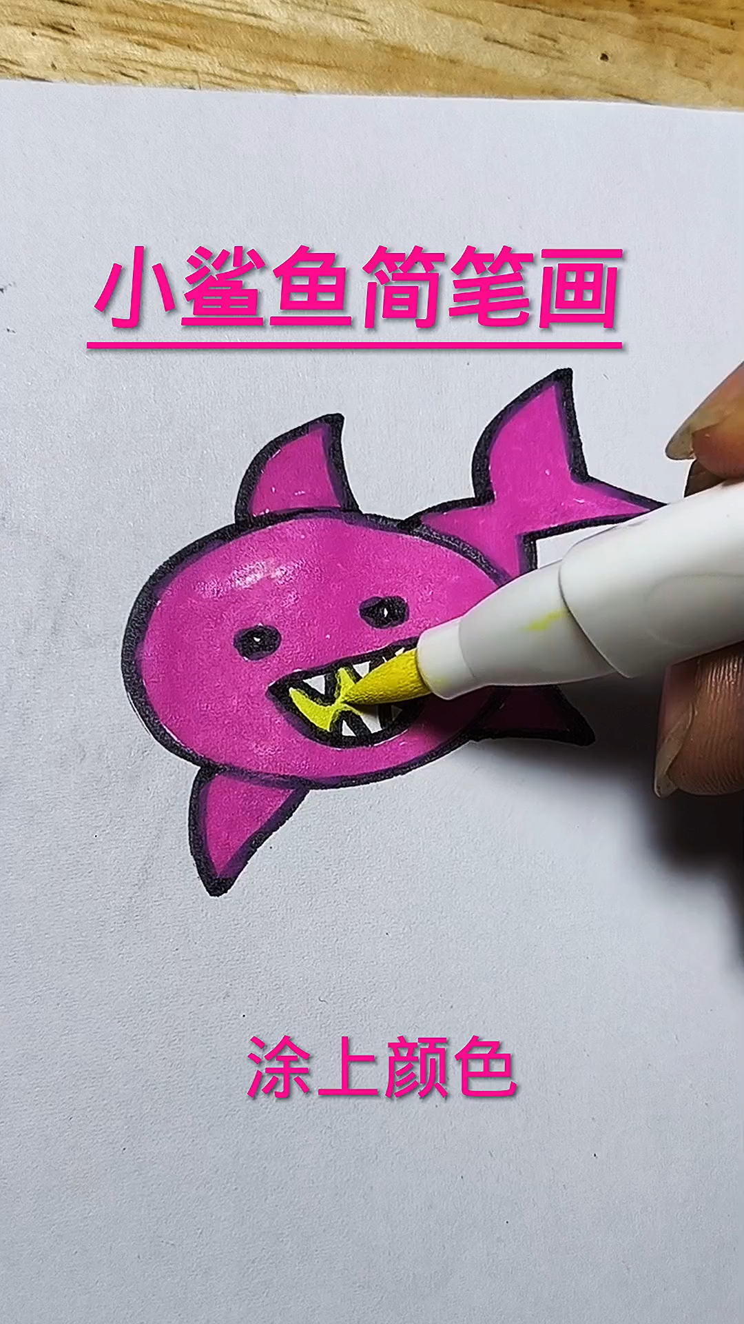 小鲨鱼