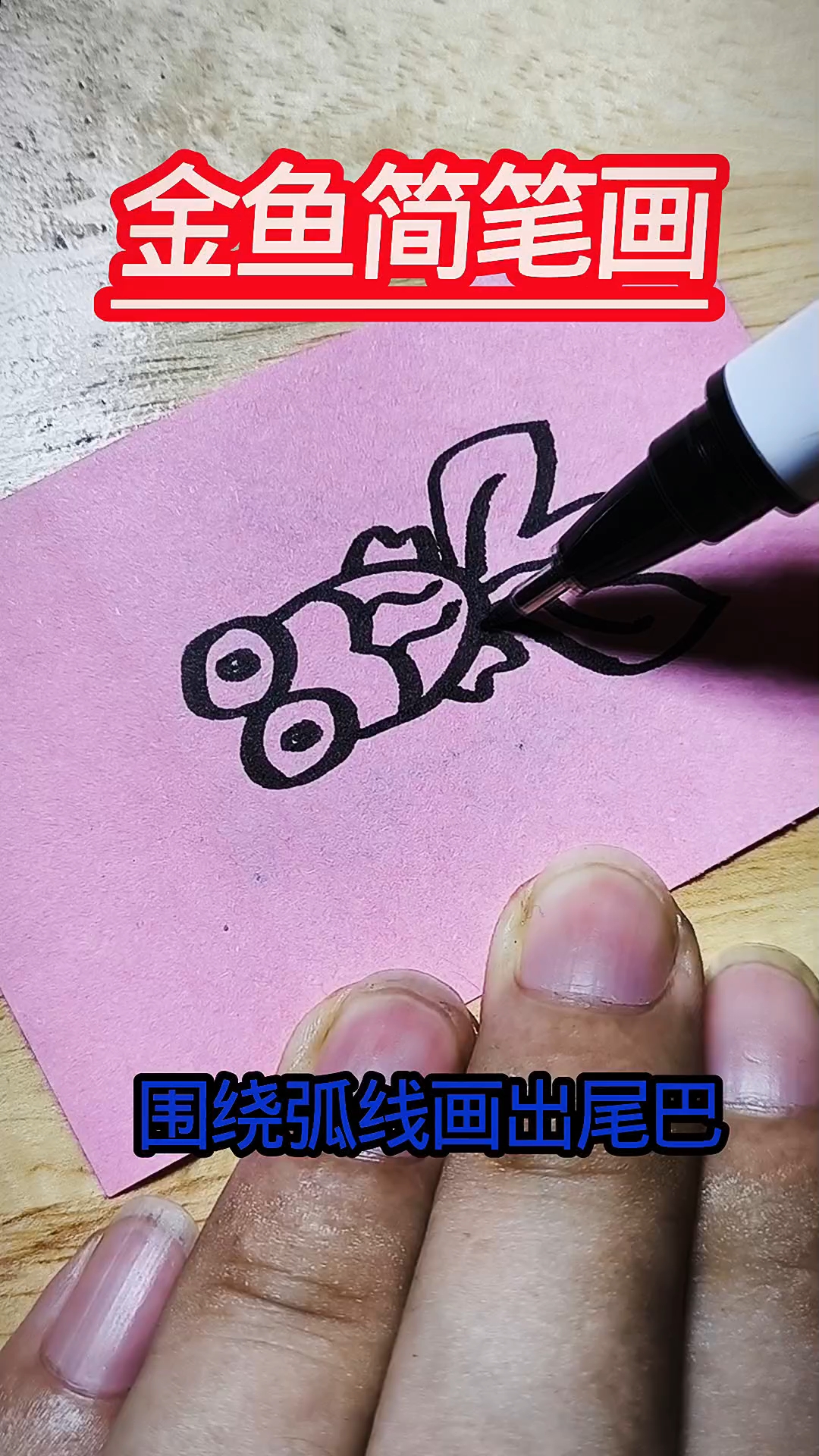 金鱼