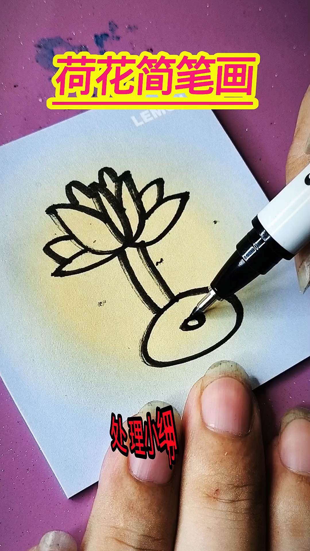 荷花简笔画