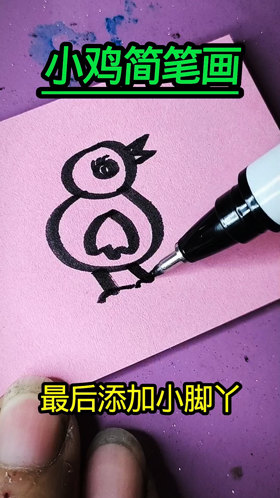 小鸡